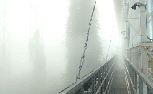 145.gif